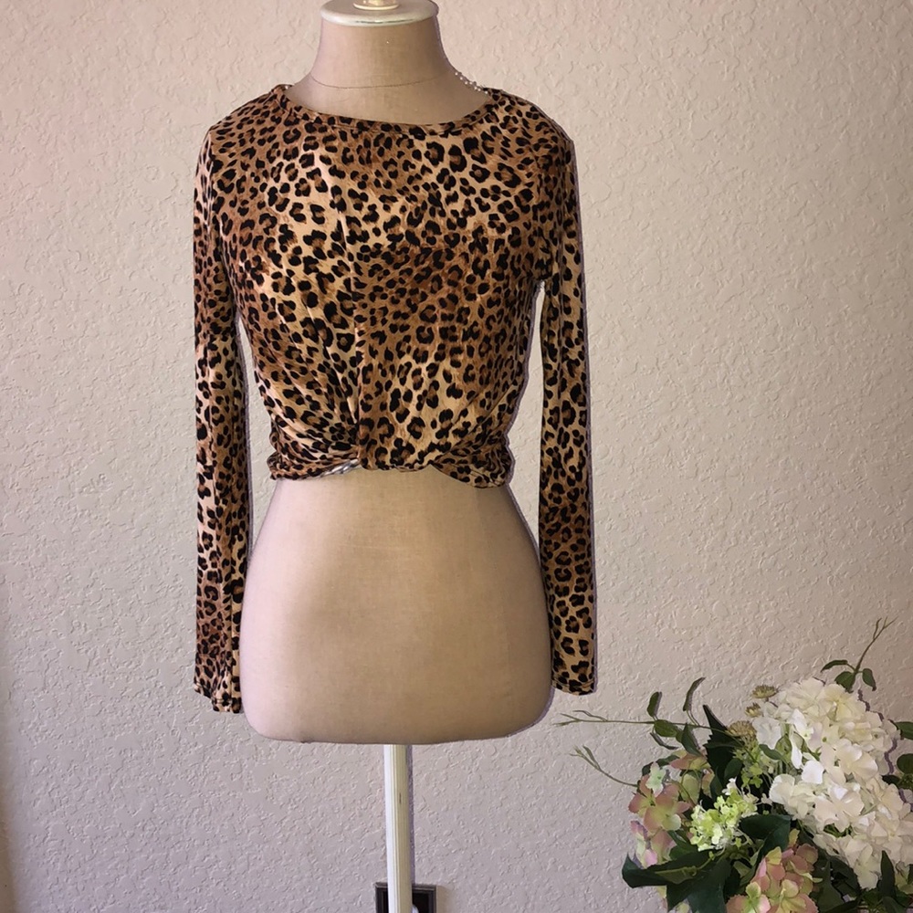 Leopard print long sleeve crop top